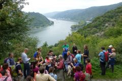 Herbstwanderung Rheinsteig  2014