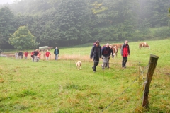 506WW-Herbstwanderung-2012-013