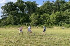 20230609_153707135_iOS